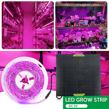 20W סולארית LED לגדול אור 5V לגדול אור הרצועה 2835 ספקטרום מלא שבב המנורה חרוזים חממה צמחים הידרופוניים