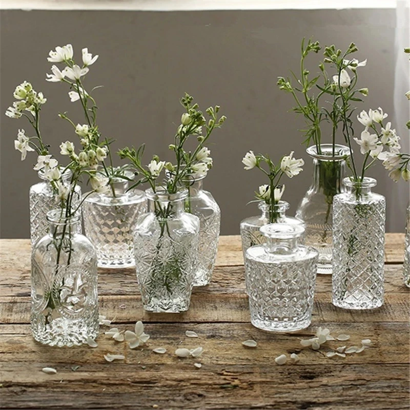 שקוף אגרטל זכוכית עבור מפעל נורדי זכוכית פשוטה אגרטלי פרחים יצירתיים גידול הידרופוני שולחן דקורטיבי לעציץ - 0