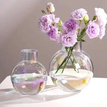 נורדי יצירתי אגרטל זכוכית כדור שקוף יוקרה פרחים, אגרטל פרחים מיובשים הידרופוניקה אגרטל שולחן הסלון קישוט מתנה