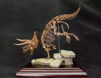 VWUVWU 1/35 טריצרטופס שלד גולגולת מודל בעלי חיים מאובנים של דינוזאור להבין אספן חינוכי GK השולחן קישוט מתנה צבוע