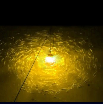 52LEDs 15° 12VDC AC110-240V LED מתחת למים לדוג בלילה אור פיתיון למשיכת פיתיון ודגים דיג לילה אור